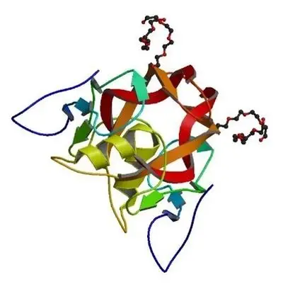 High Quality Pure Myostatin Inhibitor Peptides Powder 10mg per vial