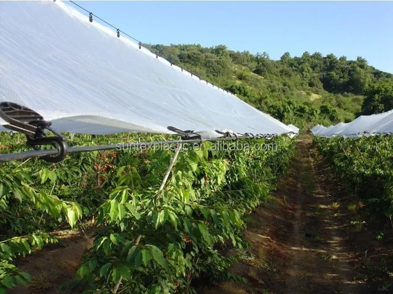 150 Micron Woven hdpe rainproof cover,tear resistance transparent Reinforced plastic sheeting 12m*75m