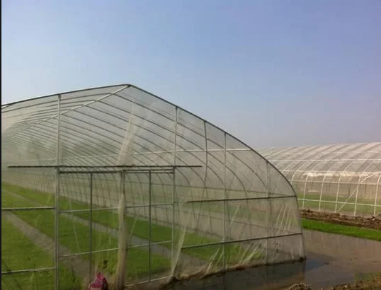 Small Strong garden 6x10m tunnel greenhouse