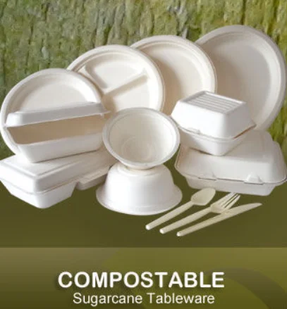 disposable paper pulp tableware/biodegradable food container