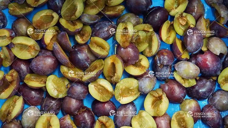 CL-I Industry Automatic plum pitter