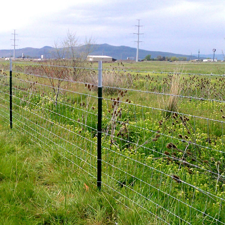 High Tensile 1.8 M Galvanized Steel Wire Low-Priced Farm Fence for Sheep/Goat Field for Gate and Cattle for Steel Wire Use