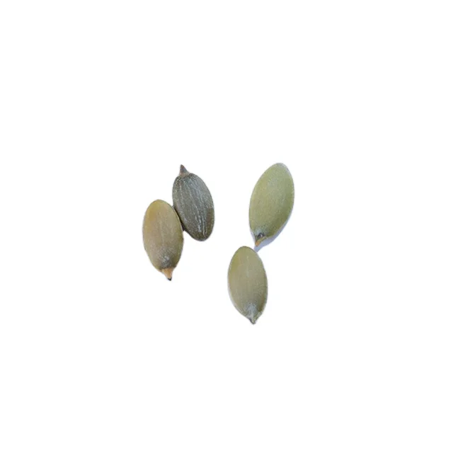 Wholesale Factory Supply Raw Processing Top Grade Hulled Pumpkin Kernels Seeds