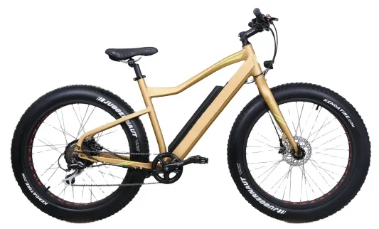Style Fat Tyre Electric Bike USA Lithium Battery 1:1 48V Rear Hub Motor Aluminum Alloy 15 Kva Lithium Battery for Solar System