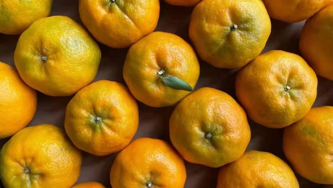 China crop organic fresh mandarin orange fruit citrus orange