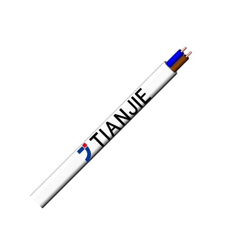 European Standard 0.75mm--4mm 300/500V H05VVH2-F/H05VV-F Multi Core Copper Electrical Cable Wire Flat Power Wire