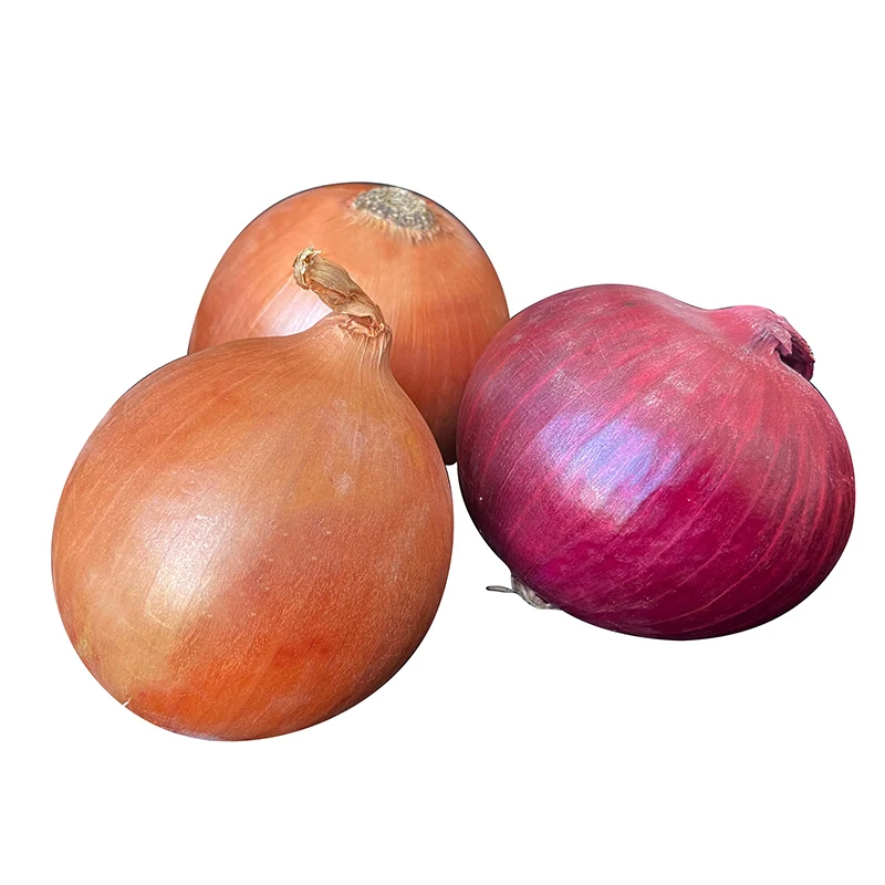 Chinese wholesaler red/purple/yellow onion fresh onion prices