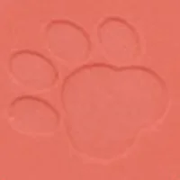 MS 10 видов цветов, форма кошачьей лапы, натуральный логотип под заказ, стойкая косметическая пудра, оптовая продажа, палитра румян частной торговой марки