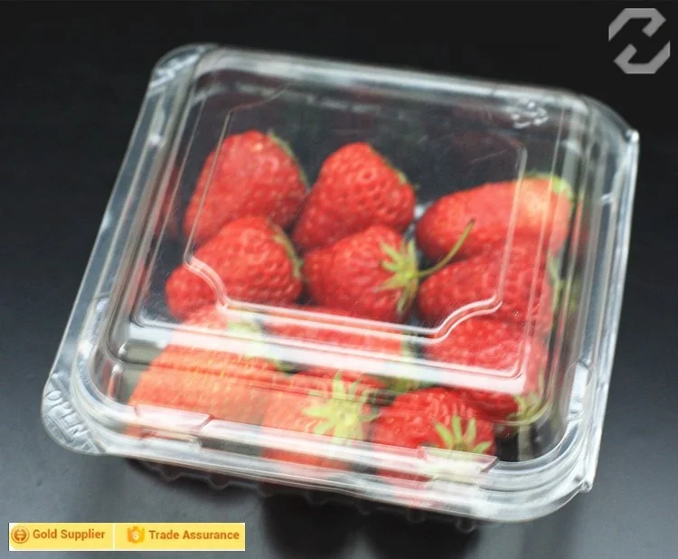 
Disposable Fruit Food Container Packing Tray 