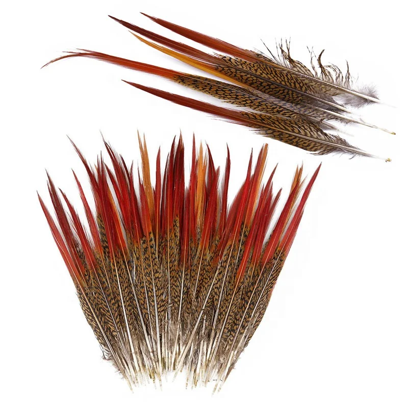 4-6 inch , 6-8 inch , 8-10 inch Natural Red Golden Pheasant Red Tip Loose Pointy Feathers