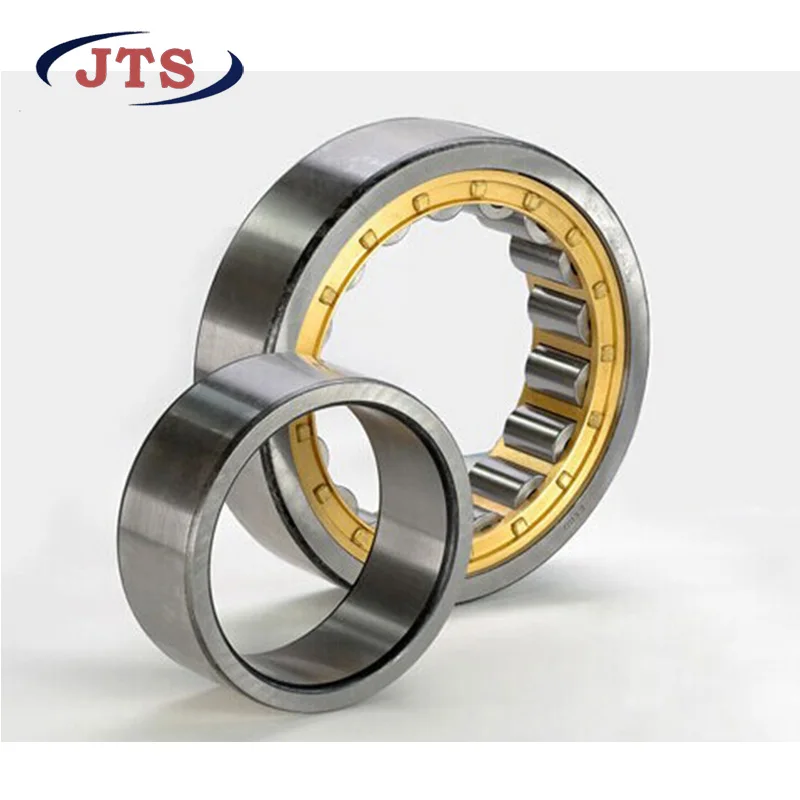 RN 204 Single row cylindrical roller bearings without outer ring RN204 20x40x14mm