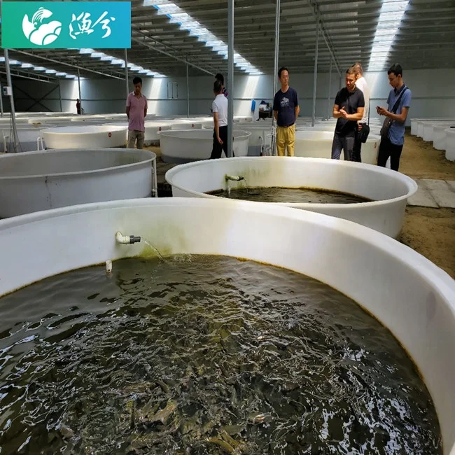 
High-density salmon pp fish pond circulating water indoor breeding system 