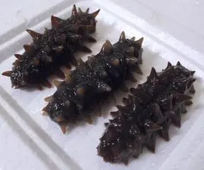 Высушенные и замороженные морские