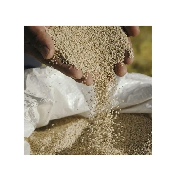
Origin Type Variety Size Grade MIN Fresh Broken Place Model Quinoa Seed 