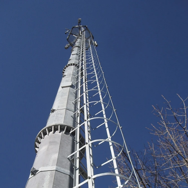20 M 30 M 40 Meter Microwave Communication 5G Antenna Pole Telecom Mast Cells Monopole Signal Tower