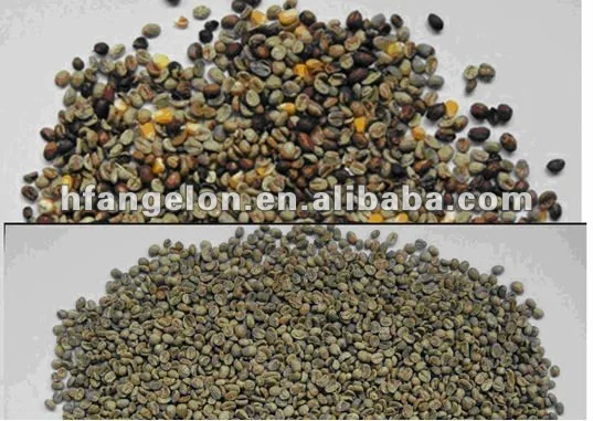 Brand Angelon 2020 new model  coffee bean color sorter /colour sorting machine for coffee bean