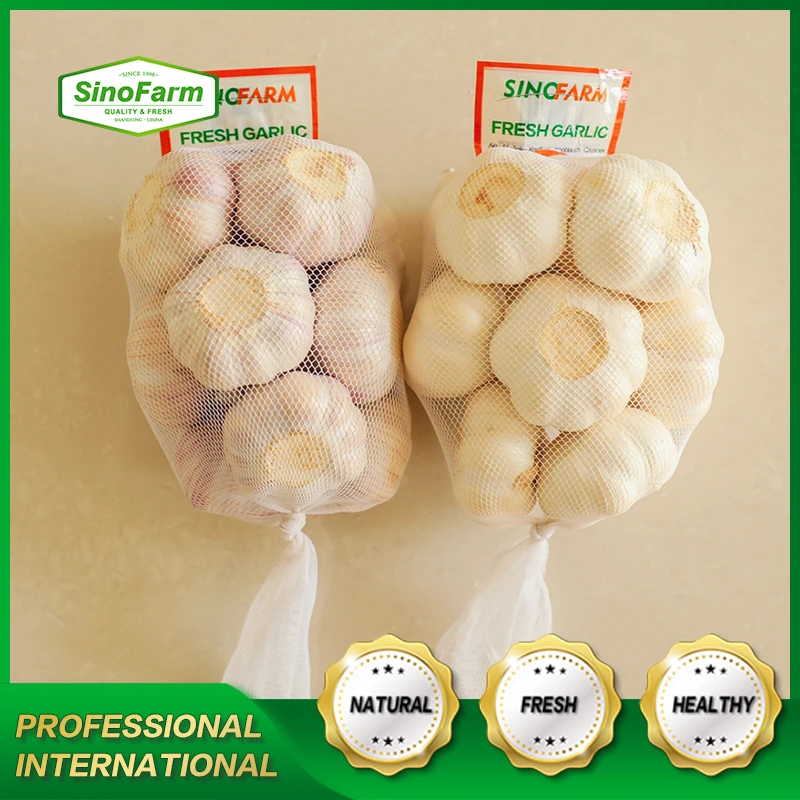 Fresh garlic Chinese new crop 2021 high quality wholesale garlic normal white alho fresco ajo from garlic exporters China
