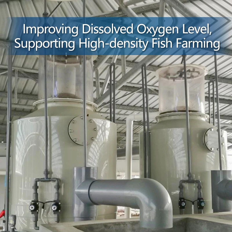 RAS system Aquaculture equipment protein skimmer for aquafarm