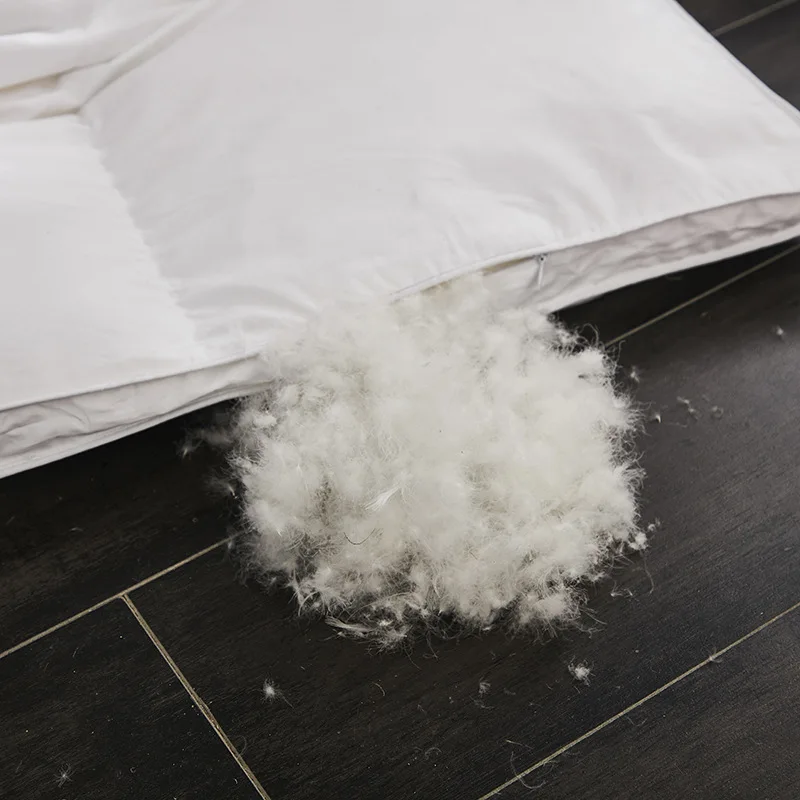 Luxury Goose Down Comforter Queen Size All Season Cover Comforter