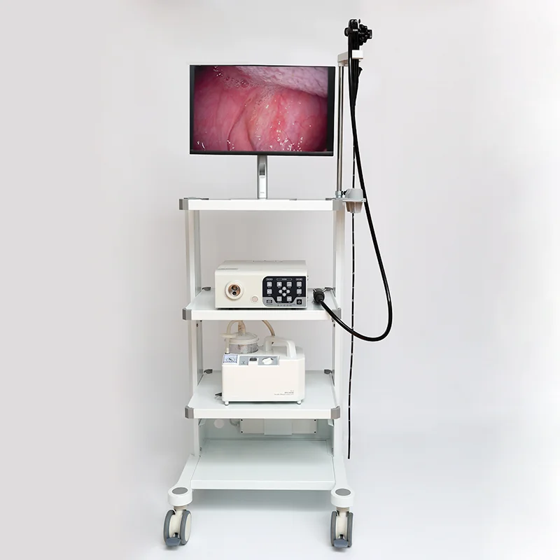 Better price Ent System Use Portable Flexible Veterinary Gastroscope Vet Endoscopy  For Animal Hospital