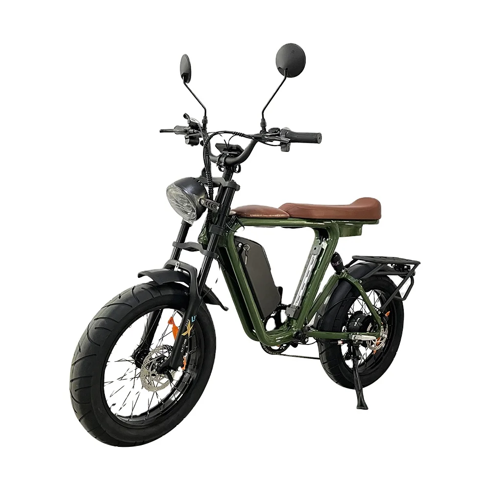 Cheap Price 1000 Watt Ebike Bicicleta China Bicimoto Electrica 48V 1000W Fat Tire Electric Bike Bicycle for Adults