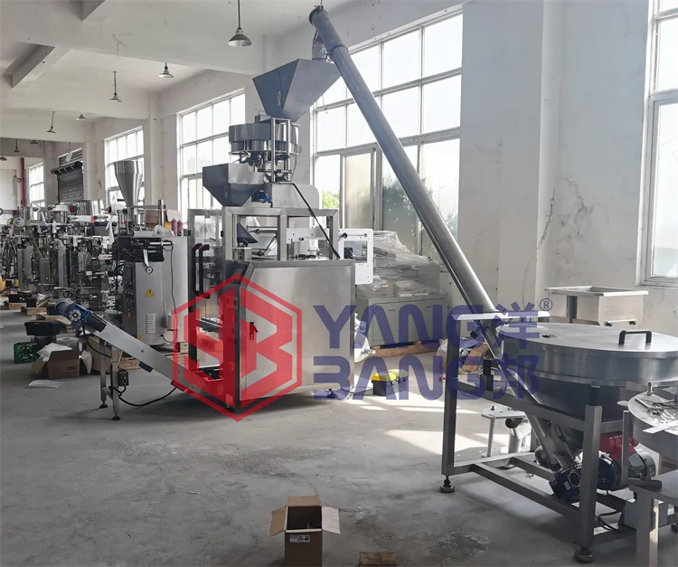 Automatic 400g 500g Refined Salt Packing Machine Bag Salt Filling and Sealing Packaging Machine