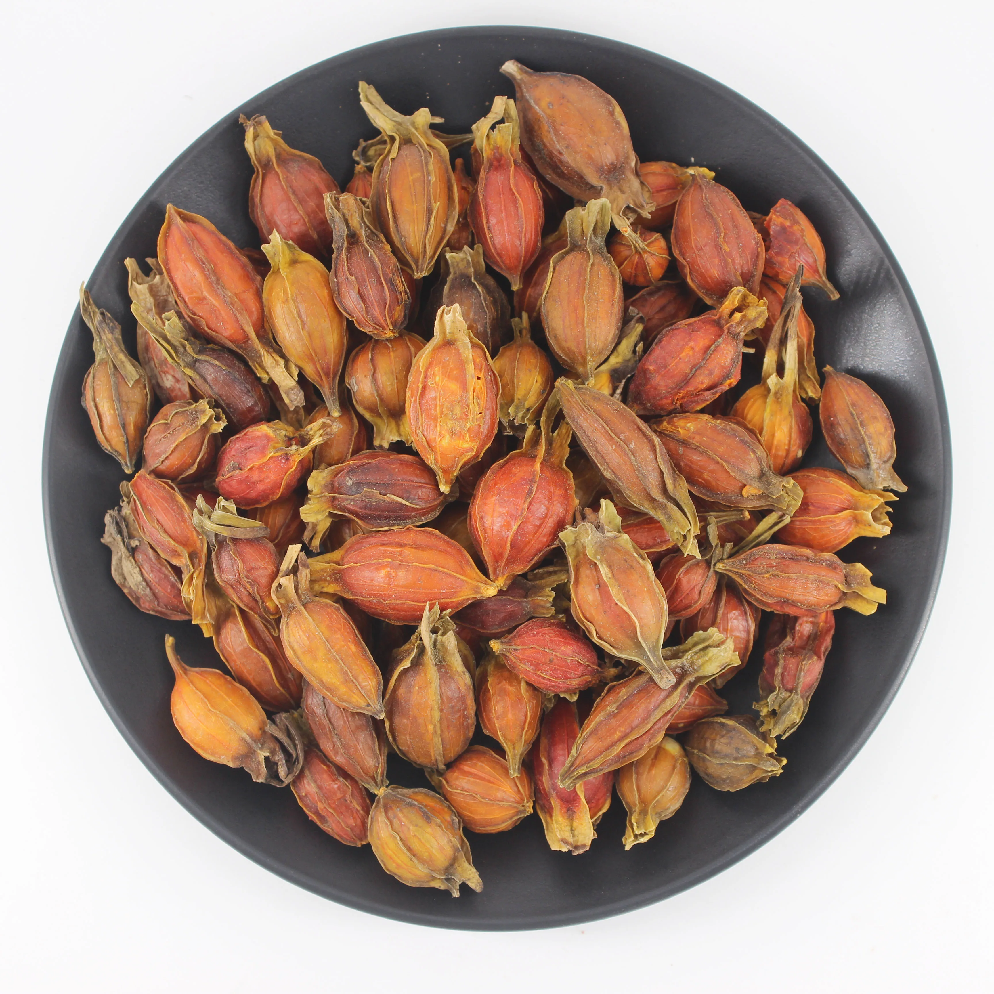 High Quality Dried Fructus Gardenia Edible Dried Herbs Spices  Fructus Gardeniae For Sale