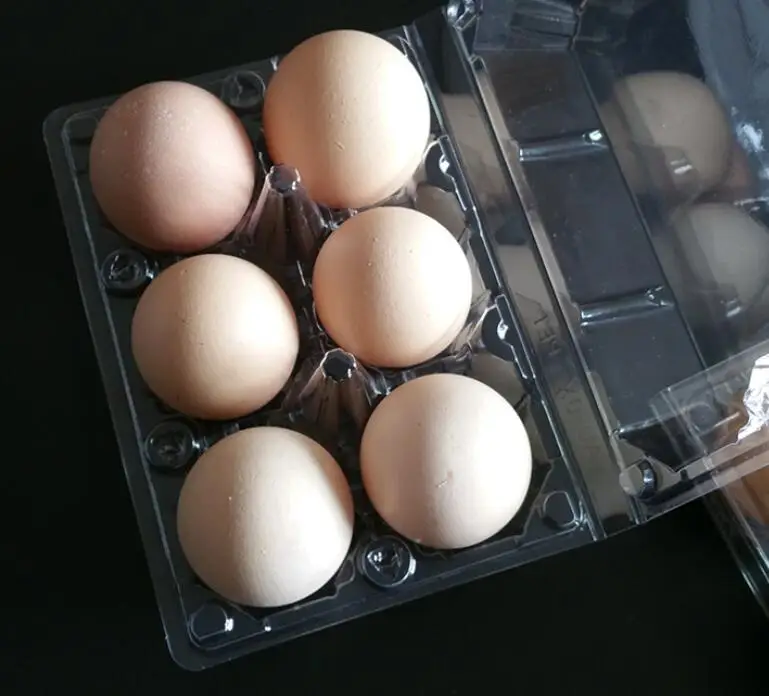 6 cells Wholesale plastic egg tray Custom High Quality Clear PET Transparent Rectangle 6 holes Blister Egg Trays