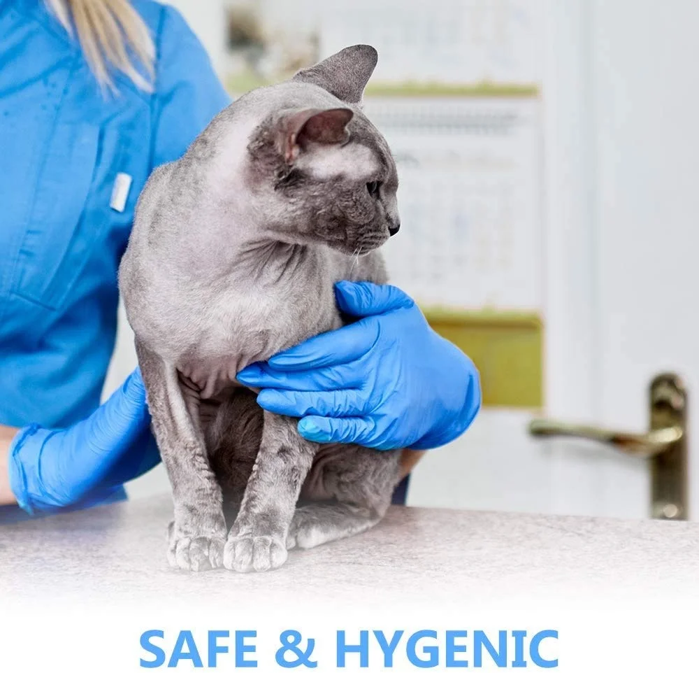 Powder-Free Xs L 250 Count 200 Nitrile Medic Exam Gloves Without Powder, Better