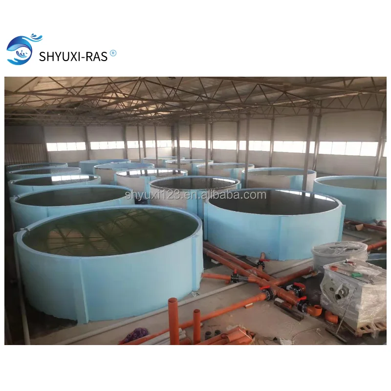 500 Square Meters Factory Circulating Water Aquatic Breeding System for RAS equipment