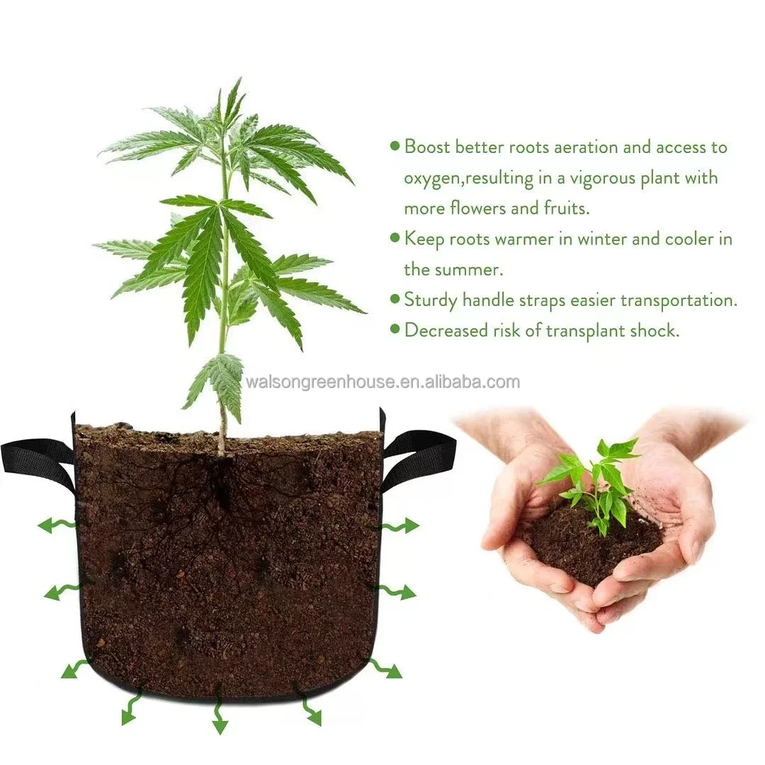 3/5/10/15/20/25/30 Planter Grow Bag Tree Seeding Pot Fruit Fabric Plant Pots Flower Pot 100 Gallon Grow Bags for Planting