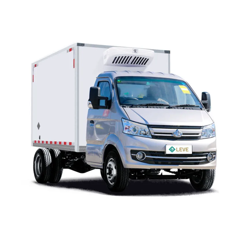 New or Used Delivery Truck Diesel Customization Transport Vegetable Meat Egg Freezer Refrigerated Truck for Sale