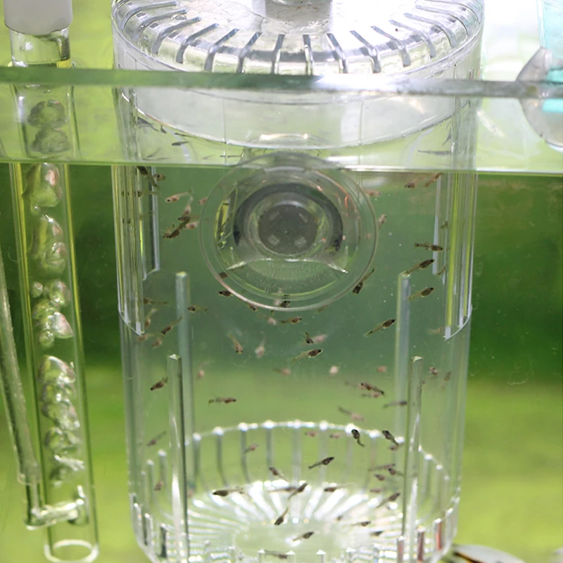 Cylindrical fish tank breeding isolation box aquarium accessories breeding box fish