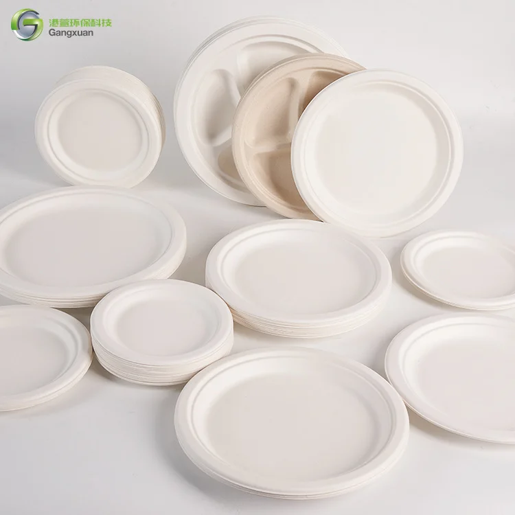 Customized Wholesale Food Grade Sugarcane Bagasse Disposable Meal Plate Fried Chicken Barbecue Dinner Paper Tray