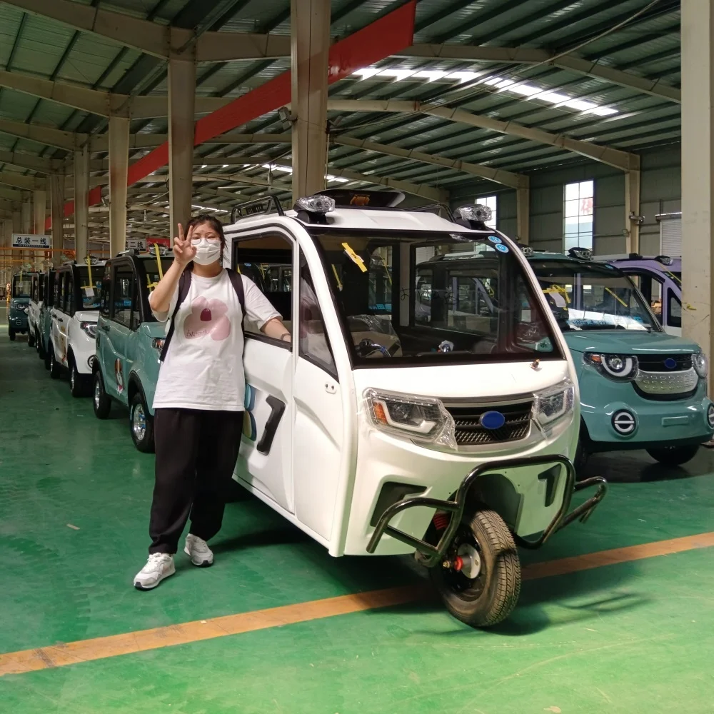 3 Wheels Cheap Price e-truck with CE 1000W 1500W Electric Pickup Truck