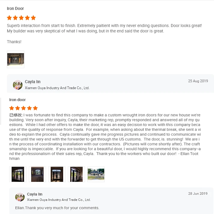 Galvanized Fancy Security Wrought Iron Doubleglass Design with Glass Manufacturers Direct Custom Iron Door Steel Modern Swing