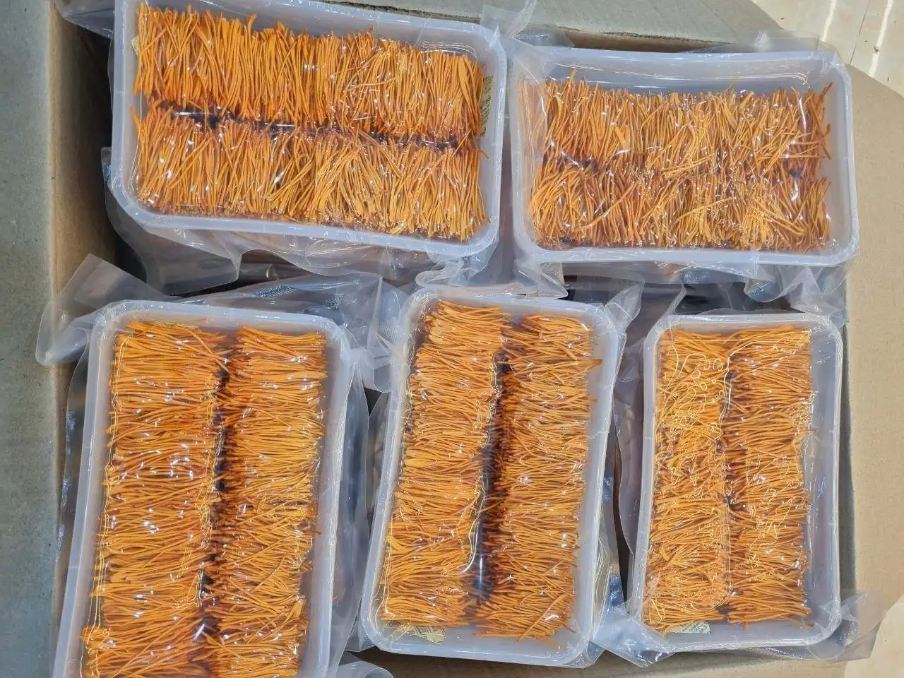 Dried Fungus Cordyceps Militaris For Sales