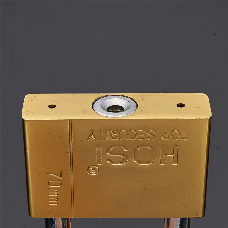 The Best Globe brand Custom 40mm High Security Heavy Duty Unbreakable Safety Iron Padlocks with master key