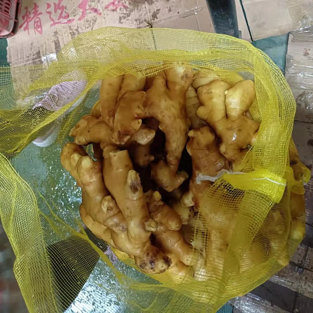 High quality of new crop Fresh ginger air dry or dried ginger root market price