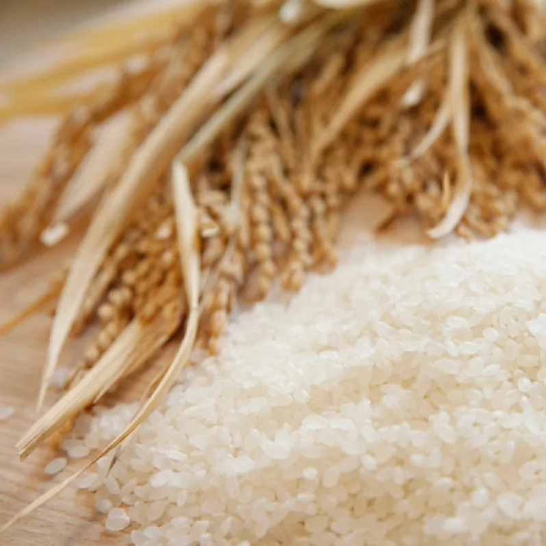 
JunmaiDaiginjo HIGEN REI manufacturer pure liquid alcohol processing wine oem 