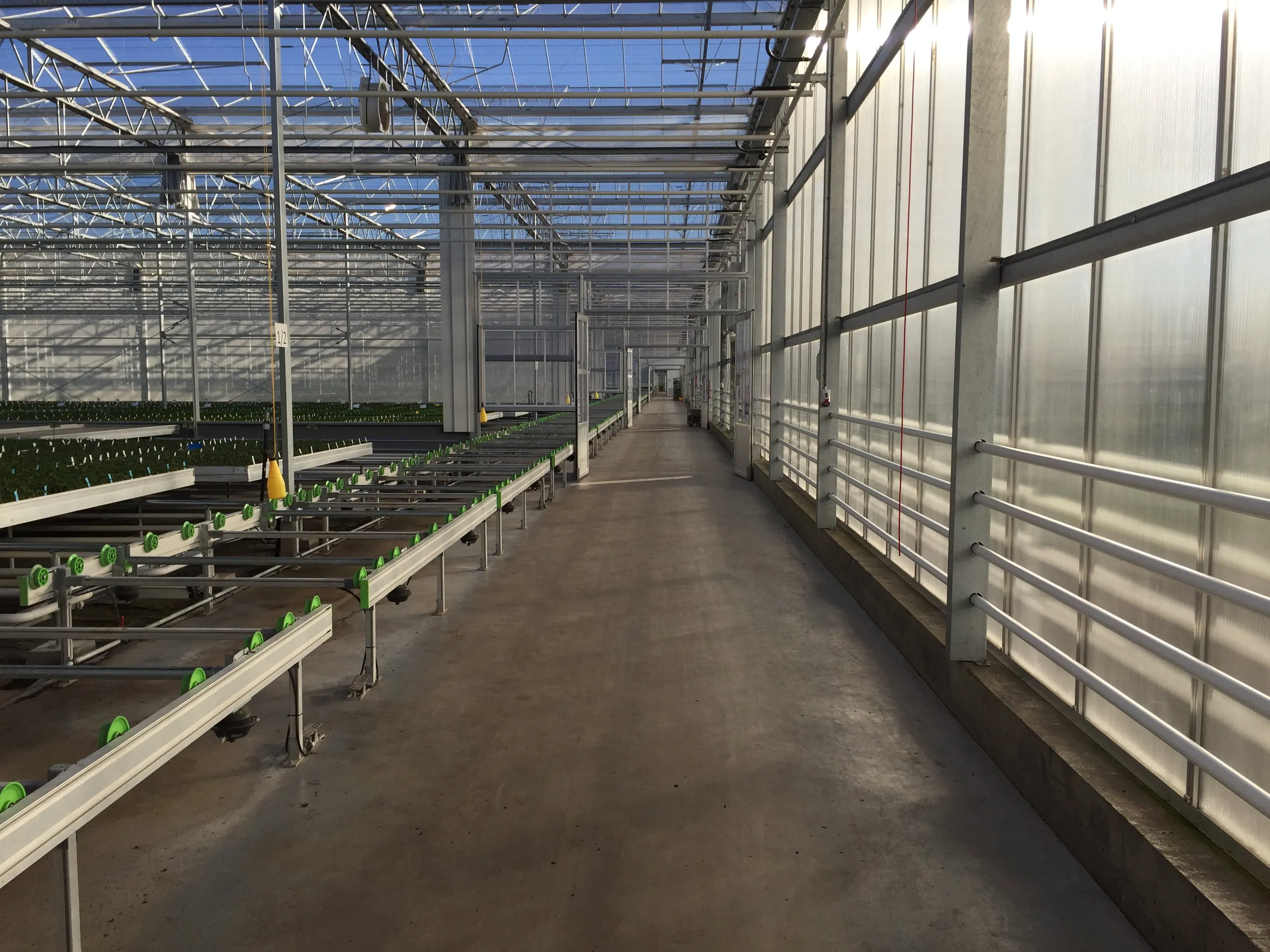 Hot Selling Mobile Hydroponic Nursery Removable Pallet Logistics Nursery Bench