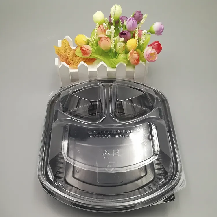 OEM and ODM customize Disposable plastic take away bento lunch box food container