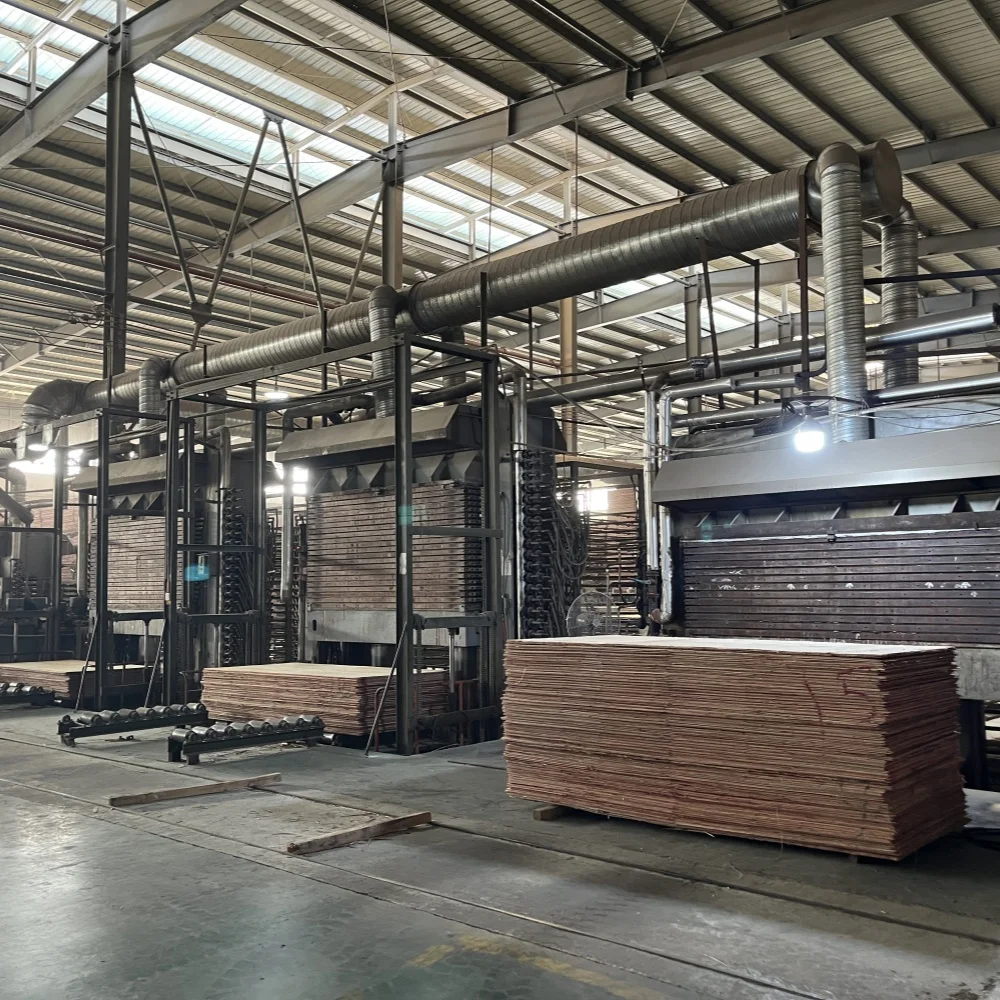 Manufacturers Directly Offer Moisture-Proof Sound-Insulation Poplar Multi-Layer Furniture Engineering Decorative Plywood Chinese