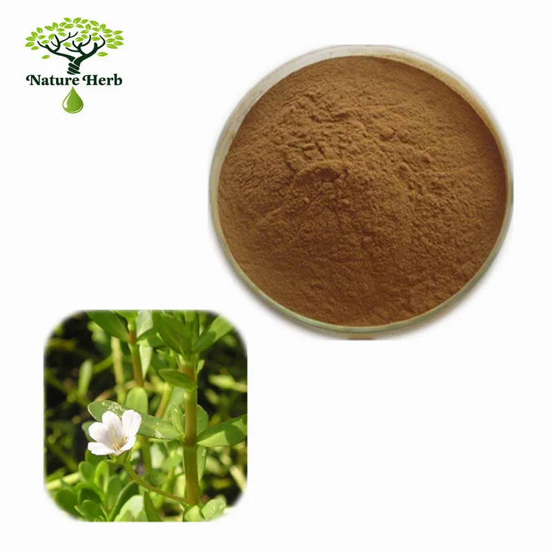Pure Natural Herb Medicine Bacopa Monnieri Extract Powder