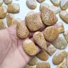 Natural Fossil Coral Loose Cabochon mix shape in all size Handmade Top Fossil Coral Cabochon Loose Gemstones Making For Jewelry