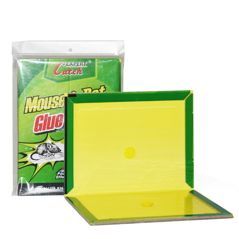 Wholesale Indoor/Outdoor Easy-to-Set Large Mouse Glue Traps Sticky Pest Control Rat Snake Cockroach Office Space US Sheet Size