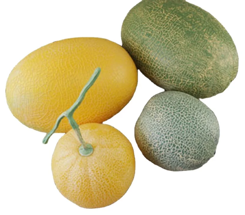 Simulated  hami melon cantaloupe and Simulated fruit