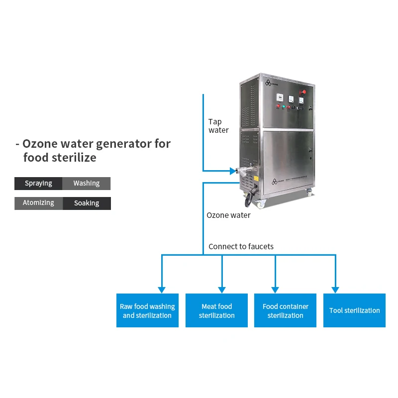 1-10ppm custom made Ozone water generator for water purification drinking water disinfection sewage treatment