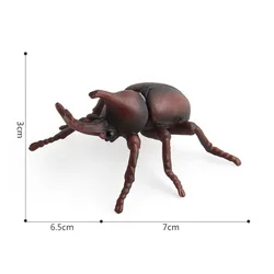 Discount Animated Insect Model Simulation Insect Animal Model Insect Pack Toy Model