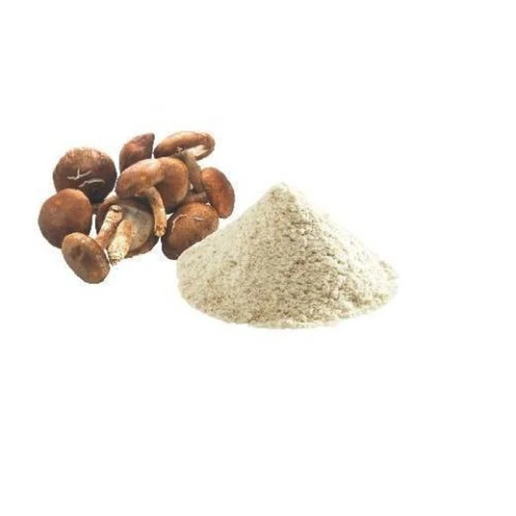 Оптовая продажа товары для пищеварения на заказ 100 г порошок грибов Shiitake Hypathisis пищевого